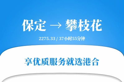 保定到攀枝花物流专线-保定至攀枝花货运公司2