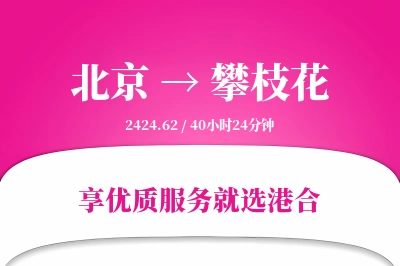 北京航空货运,攀枝花航空货运,攀枝花专线,航空运费,空运价格,国内空运