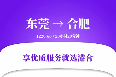 东莞到合肥物流专线-东莞至合肥货运公司2