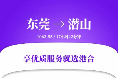 东莞到潜山物流专线-东莞至潜山货运公司2