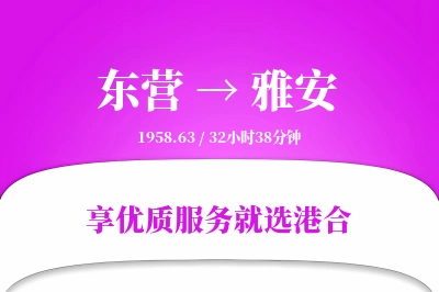 东营到雅安物流专线-东营至雅安货运公司2