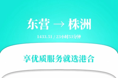 东营到株洲搬家物流