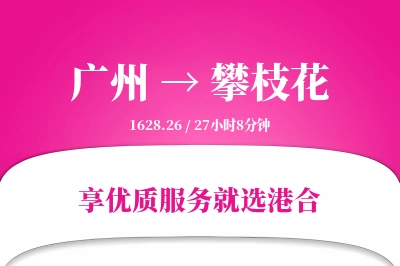 广州航空货运,攀枝花航空货运,攀枝花专线,航空运费,空运价格,国内空运