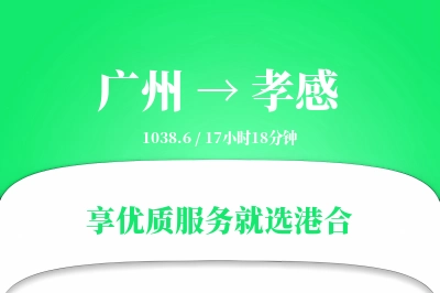 广州到孝感物流专线-广州至孝感货运公司2