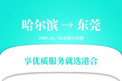 哈尔滨到东莞物流专线-哈尔滨至东莞货运公司2