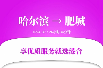 哈尔滨到肥城物流专线-哈尔滨至肥城货运公司2