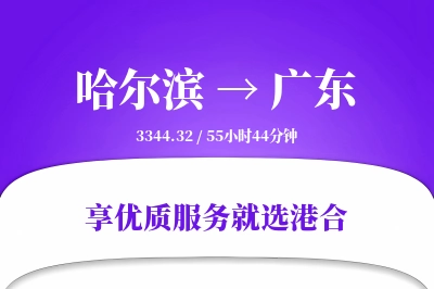 哈尔滨到广东搬家物流