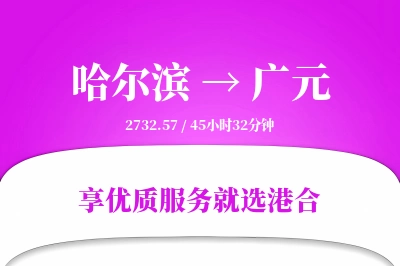 哈尔滨到广元物流专线-哈尔滨至广元货运公司2