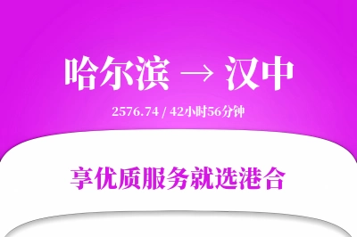 哈尔滨到汉中物流专线-哈尔滨至汉中货运公司2