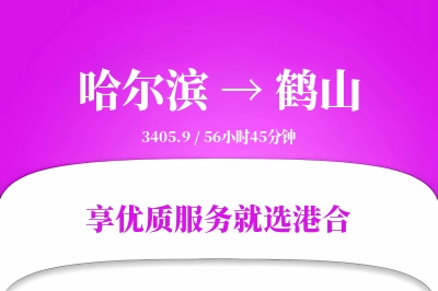 哈尔滨到鹤山物流专线-哈尔滨至鹤山货运公司2