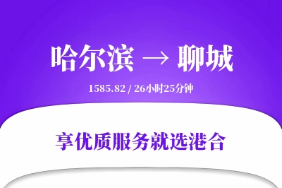 哈尔滨到聊城物流专线-哈尔滨至聊城货运公司2