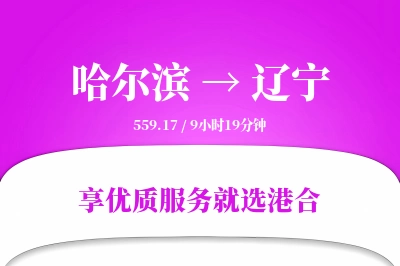 哈尔滨到辽宁物流专线-哈尔滨至辽宁货运公司2