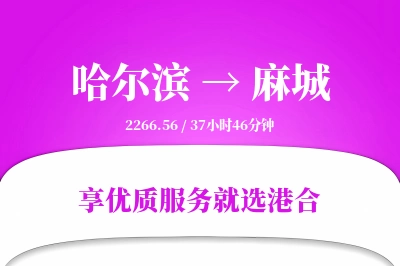 哈尔滨到麻城物流专线-哈尔滨至麻城货运公司2