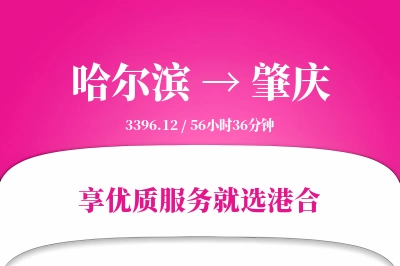 哈尔滨到肇庆物流专线-哈尔滨至肇庆货运公司2