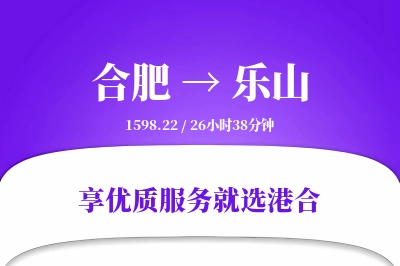 合肥到乐山物流专线-合肥至乐山货运公司2