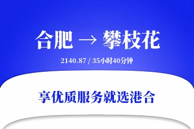 合肥航空货运,攀枝花航空货运,攀枝花专线,航空运费,空运价格,国内空运