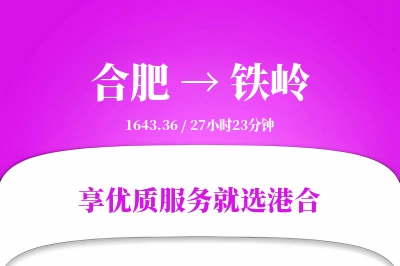 合肥到铁岭物流专线-合肥至铁岭货运公司2