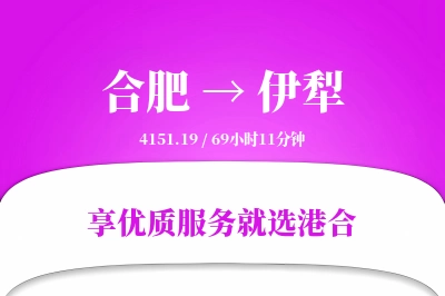 合肥到伊犁物流专线-合肥至伊犁货运公司2