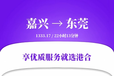 嘉兴到东莞物流专线-嘉兴至东莞货运公司2