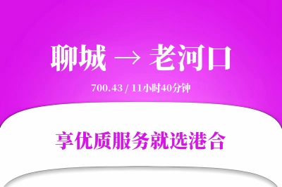 聊城到老河口物流专线-聊城至老河口货运公司2