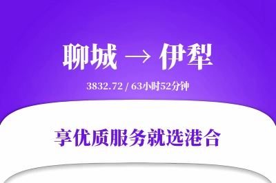 聊城到伊犁物流专线-聊城至伊犁货运公司2