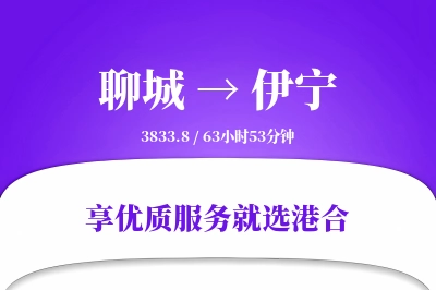 聊城到伊宁物流专线-聊城至伊宁货运公司2