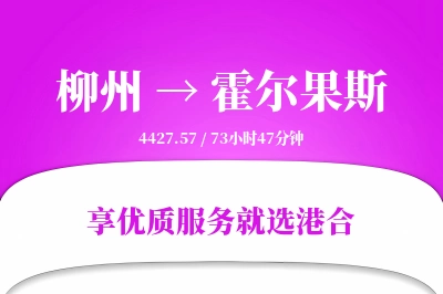 柳州到霍尔果斯搬家物流