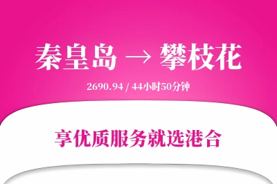 秦皇岛航空货运,攀枝花航空货运,攀枝花专线,航空运费,空运价格,国内空运