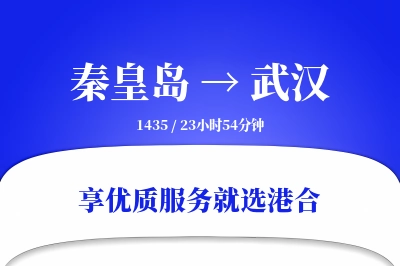 秦皇岛到武汉物流专线-秦皇岛至武汉货运公司2