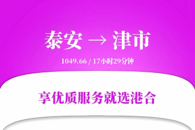 泰安到津市物流专线-泰安至津市货运公司2