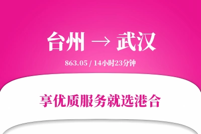 台州到武汉物流专线-台州至武汉货运公司2