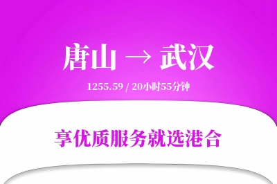 唐山到武汉物流专线-唐山至武汉货运公司2