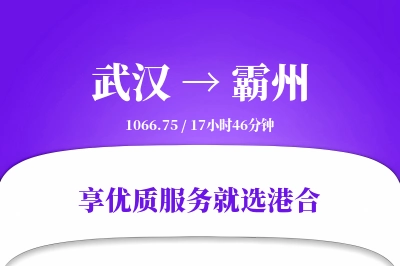 武汉到霸州物流专线-武汉至霸州货运公司2