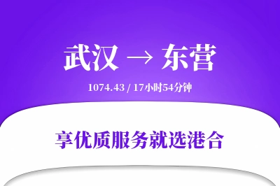 武汉到东营物流专线-武汉至东营货运公司2