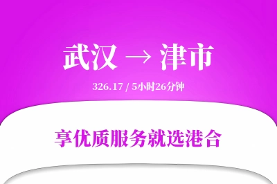 武汉到津市物流专线-武汉至津市货运公司2