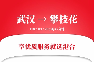 武汉航空货运,攀枝花航空货运,攀枝花专线,航空运费,空运价格,国内空运