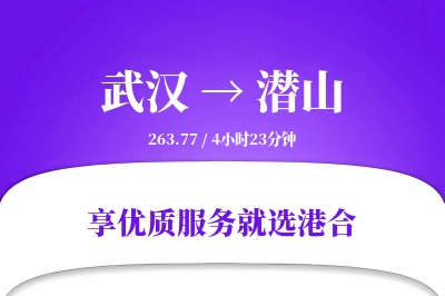 武汉到潜山物流专线-武汉至潜山货运公司2