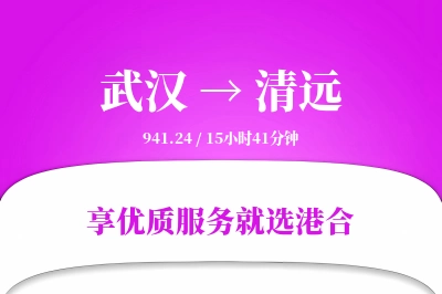 武汉到清远物流专线-武汉至清远货运公司2