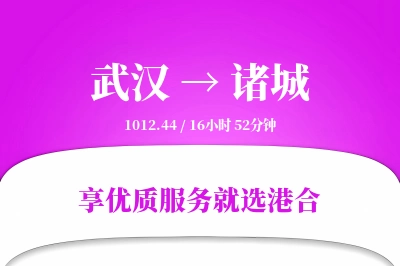 武汉到诸城物流专线-武汉至诸城货运公司2