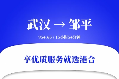 武汉到邹平物流专线-武汉至邹平货运公司2