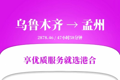 乌鲁木齐到孟州物流专线-乌鲁木齐至孟州货运公司2