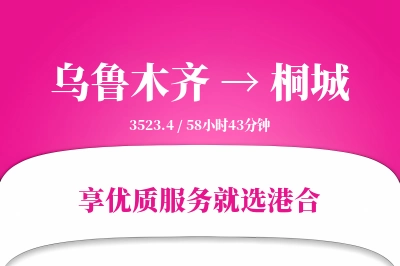 乌鲁木齐到桐城物流专线-乌鲁木齐至桐城货运公司2