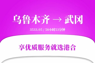 乌鲁木齐到武冈物流专线-乌鲁木齐至武冈货运公司2